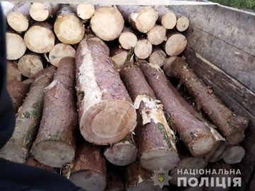 Волинянин перевозив 66 колод сосни без документів: автомобіль разом із  деревиною вилучили