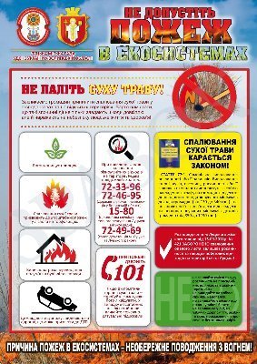 Через підпал пожежа поблизу Луцька охопила 4 гектари