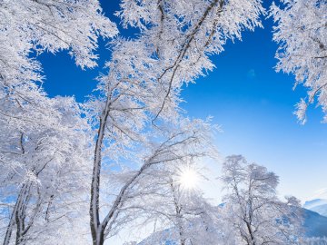 На Україну насувається різке потепління 