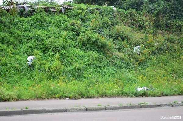 У Луцьку на Набережній – понівечені білборди. ФОТО