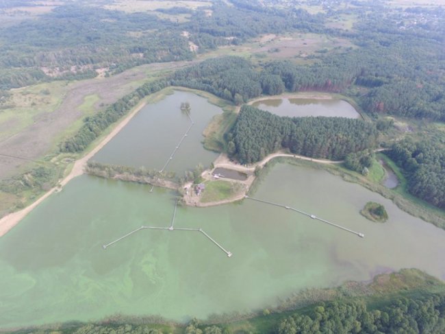 Любомльські ставки з висоти пташиного польоту