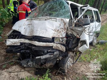 На Волині водій заснув за кермом і спричинив аварію