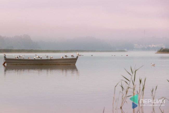 Опублікували фото оповитого туманом Світязю з висоти пташиного польоту