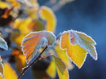 Погода в Луцьку та Волинській області на суботу, 5 жовтня