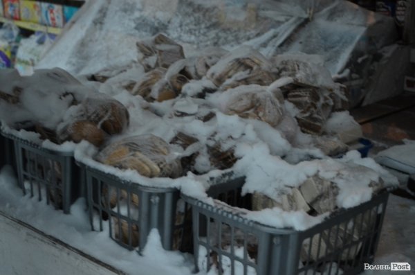 Як Луцьк замело снігом. ФОТО