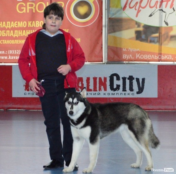 У Луцьку ‒ виставка собак. ФОТО