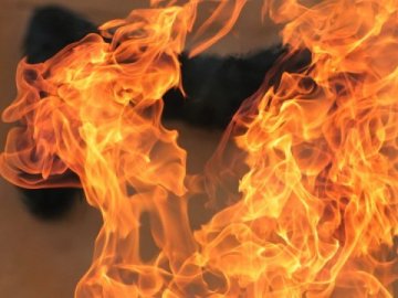 У Світязі та селі Луцького району сталися пожежі у житлових будинках 