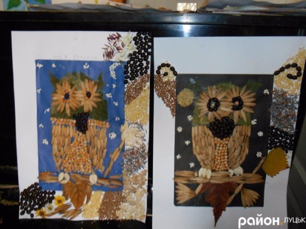 На що «Озерний вітер» витратить кошти конкурсу громадських ініціатив. ФОТО