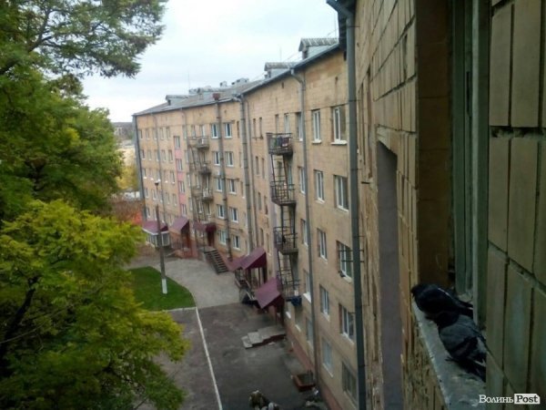 Вид на південний схід. Голуби сторожко слідкують за людьми