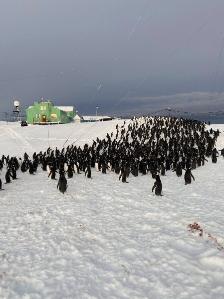 Наймолодший з полярників: 23-річний біолог з Рівненщини рік працюватиме на станції «Академік Вернадський»