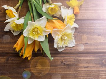 Про весілля у лікарняній палаті та економічне відновлення України: добрі новини від ВолиньPost за 2 травня 