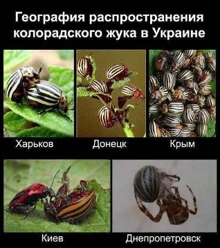 «Туристи Путіна» у фотожабах