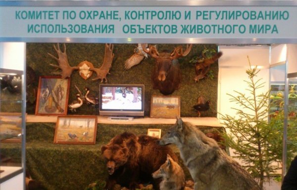 Щось у цьому комітеті явно не так.