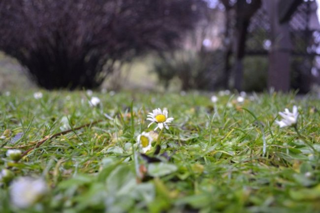 Листівки від янголят та одруження «військової» пари. Добрі новини Волині