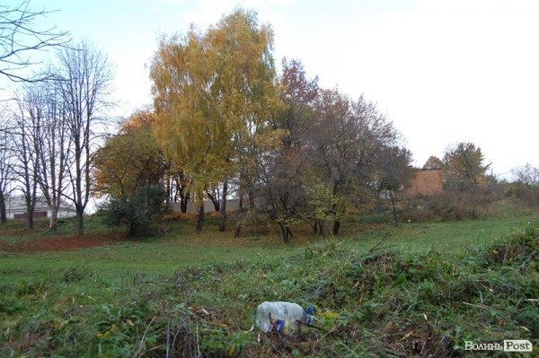 Парк у Луцьку: осіння краса і людська байдужість. ФОТО