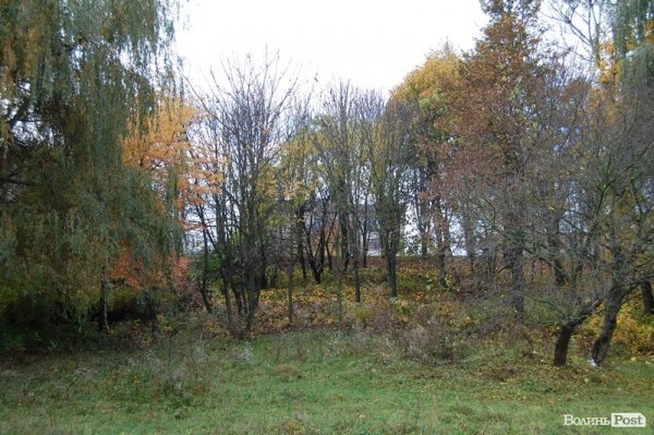 Парк у Луцьку: осіння краса і людська байдужість. ФОТО