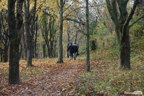 Парк у Луцьку: осіння краса і людська байдужість. ФОТО
