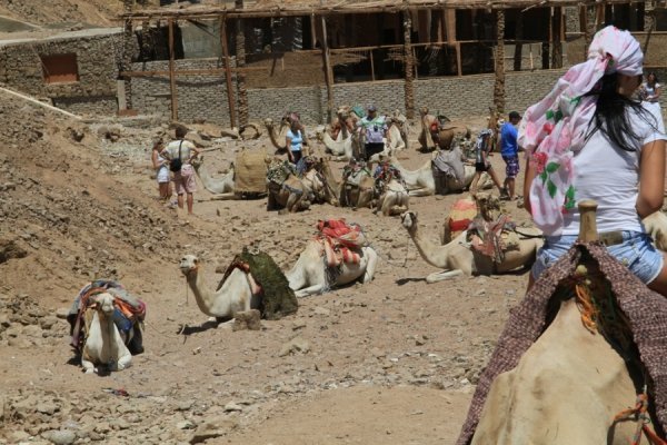 Фотовиставка Олександра Пизи