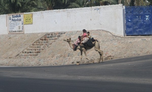 Фотовиставка Олександра Пизи