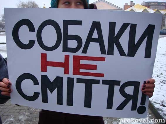 «Собаки – не сміття»: у Ковелі мітингували зоозахисники. ФОТО