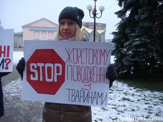 «Собаки – не сміття»: у Ковелі мітингували зоозахисники. ФОТО