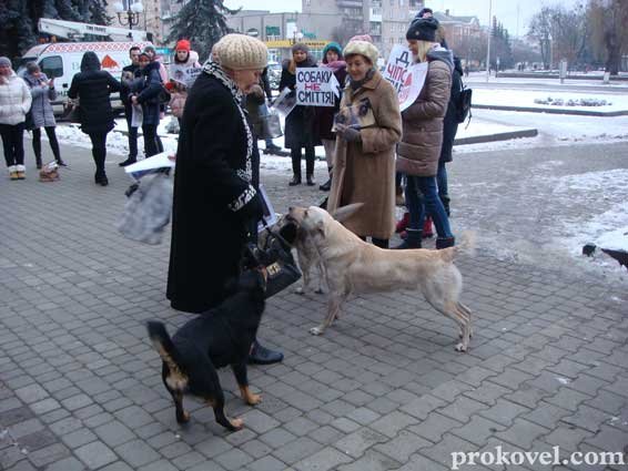 «Собаки – не сміття»: у Ковелі мітингували зоозахисники. ФОТО