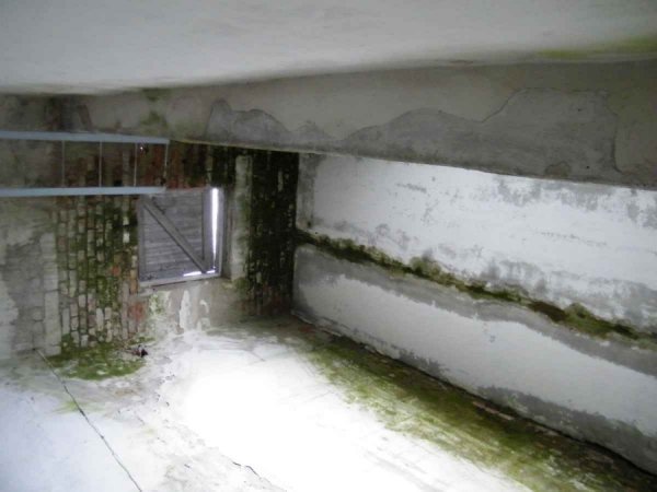 Депутатам влаштували турне клубами Волині. ФОТО