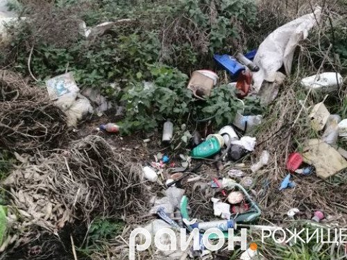 На Волині невідомі на узбіччі викинули ікони. ФОТО