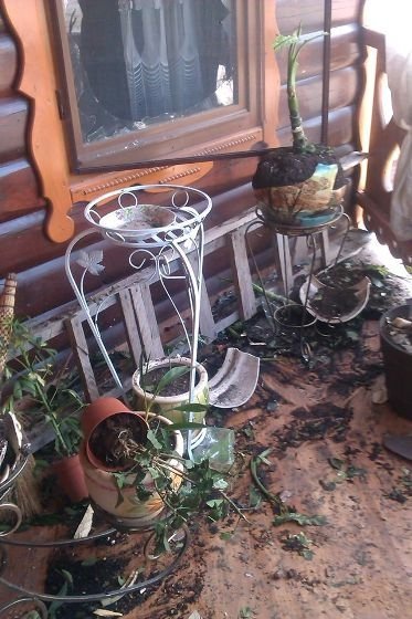 На Рівненщині стався «теракт».ФОТО