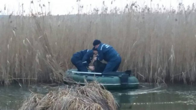 На Волині чоловік ледь не потонув у болоті