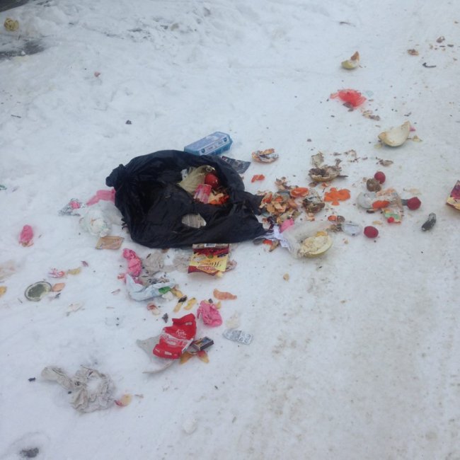 У селі під Луцьком скаржаться на нечупар, які розкидали сміття. ФОТО