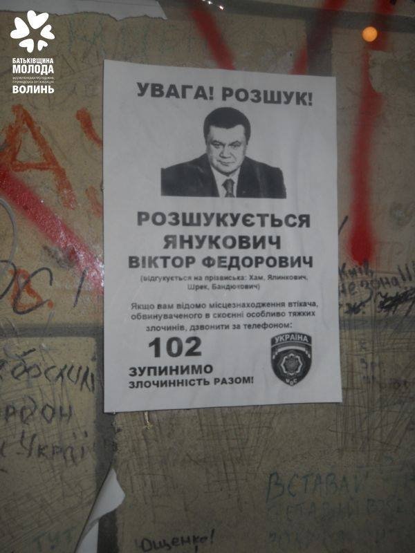 Волинь на київському Євромайдані. ФОТО