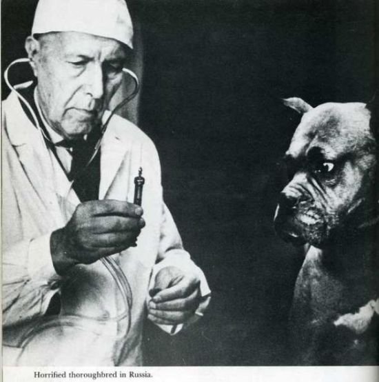 35 дивних фото минулого. ФОТО