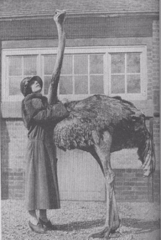 35 дивних фото минулого. ФОТО