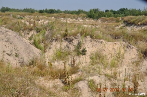 Військовий полігон на Волині потерпає від безгосподарності. ФОТО