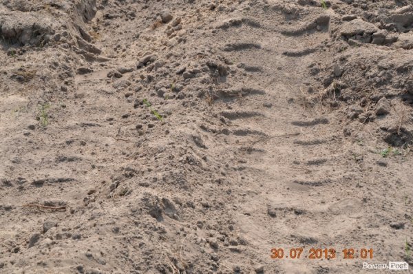 Військовий полігон на Волині потерпає від безгосподарності. ФОТО