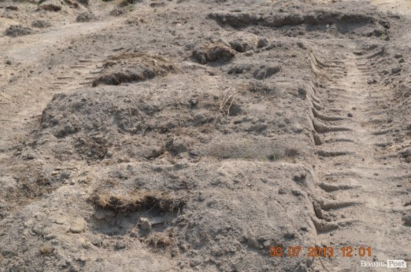 Військовий полігон на Волині потерпає від безгосподарності. ФОТО