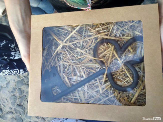 «Князівський бенкет» у Луцьку: як це було. ФОТО