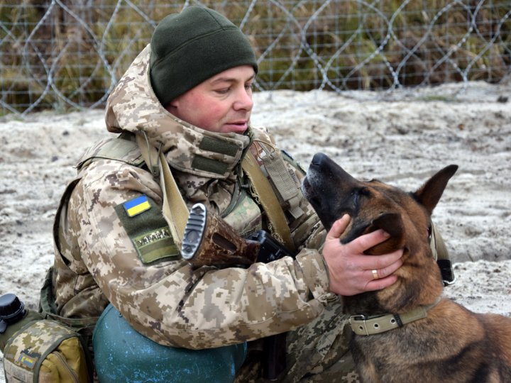 Тварин полюбив під час роботи в Італії: історія кінолога з Волинського прикордонного загону