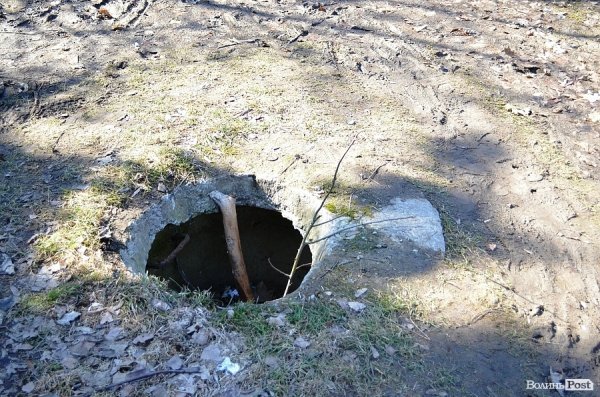 У луцькому парку зноситимуть дерева