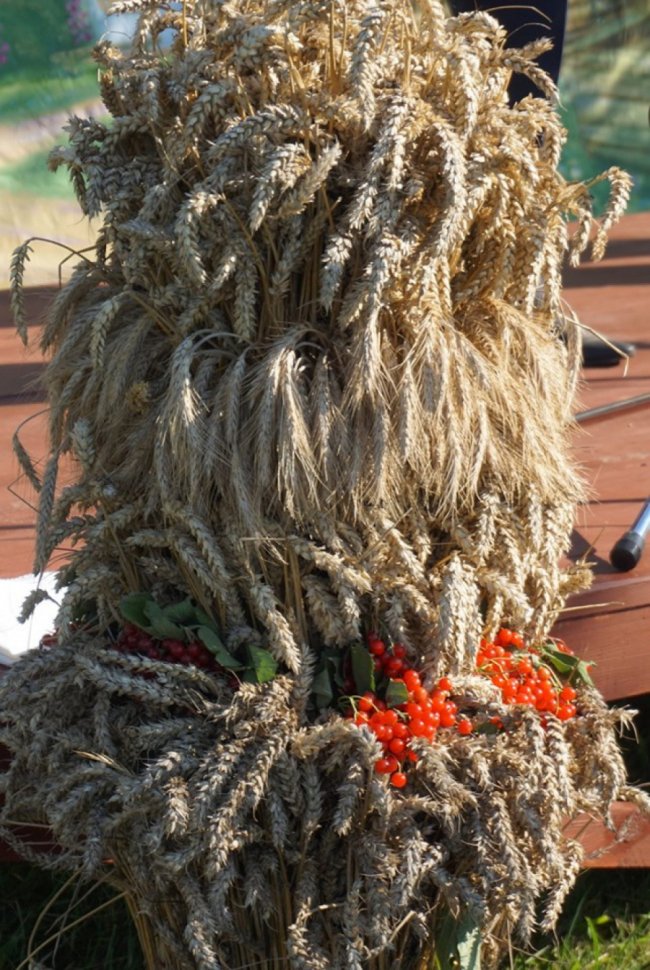 Як  у селі на Волині відгуляли фестиваль «Спасова борода»