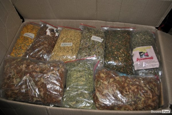 У Луцьку незряча бабуся зв'язала 318 рукавиць для бійців АТО