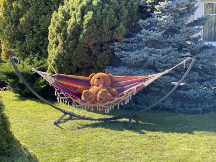 WEST COMMERCE GROUP - якісні товари для спорту