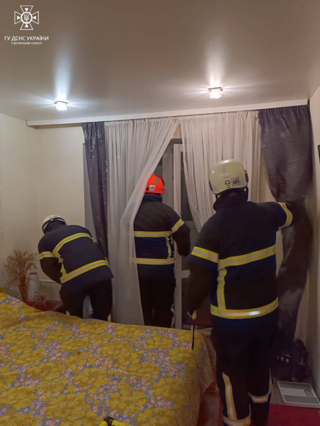 У Луцьку рятувальники звільнили квартиру від кажанів. ФОТО