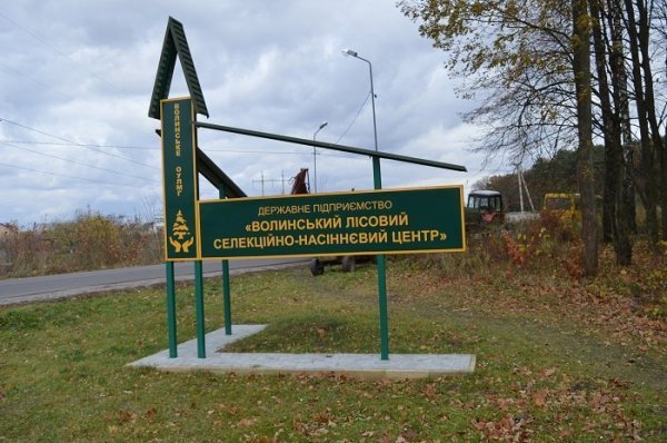 3000 волонтерів, 750 кубів сміття: завершився місячник прибирання лісів на Волині