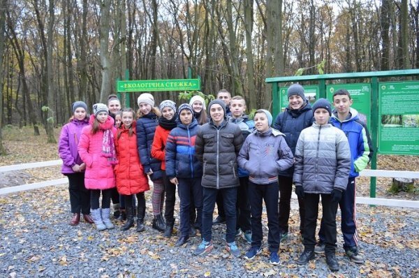 3000 волонтерів, 750 кубів сміття: завершився місячник прибирання лісів на Волині