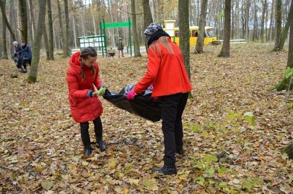 3000 волонтерів, 750 кубів сміття: завершився місячник прибирання лісів на Волині