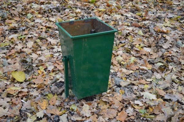 3000 волонтерів, 750 кубів сміття: завершився місячник прибирання лісів на Волині