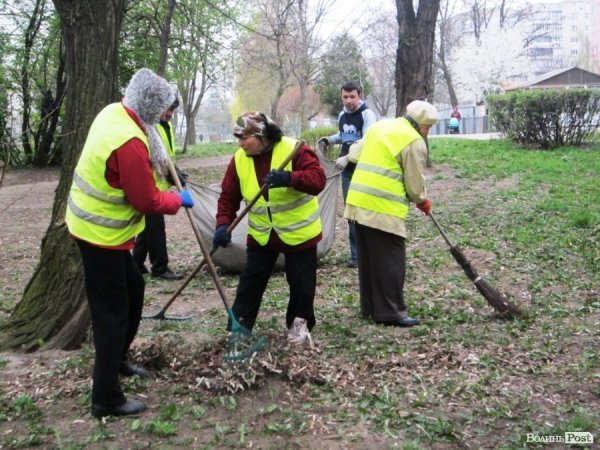 Толока в луцькому сквері закінчилася «пікетом» міського голови. ФОТО