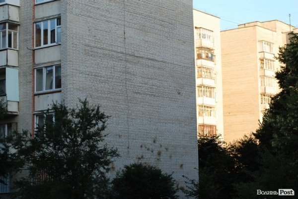 Місто, яке я люблю. Луцьк прокидається. Частина 4